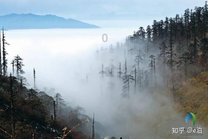 万词王